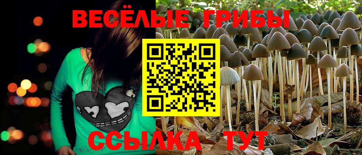 Галлюциногенные грибы мицелий Благовещенск