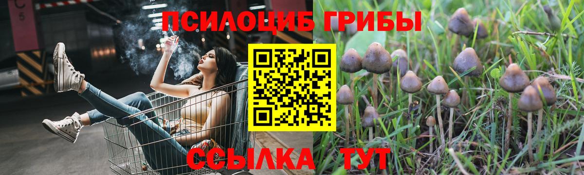 Псилоцибиновые грибы ЛСД  Вход с VPN  Благовещенск 